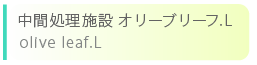 ԏ{ I[u[t.L